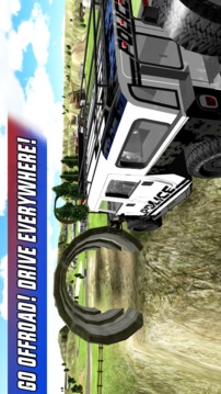Police Car Chase Offroad游戏截图3