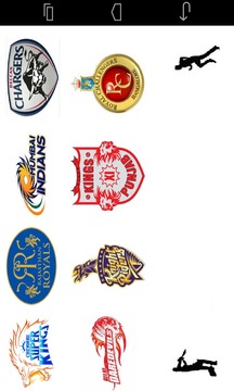 IPL-Wheel Cricket游戲截圖2