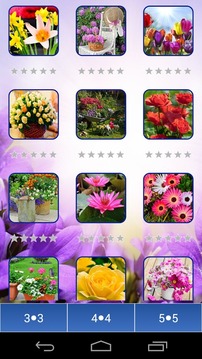 Flowers Lovers Puzzle游戲截圖4