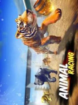 The Animal Racing游戲截圖4