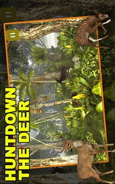 Jungle Deer Hunting游戲截圖2