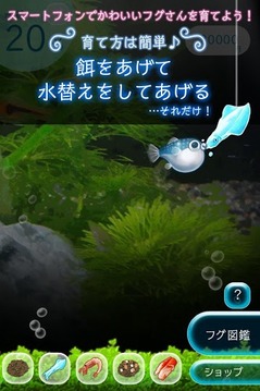 我的河豚魚水族館游戲截圖2