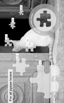 Istanbul Jigsaw Puzzles游戲截圖2