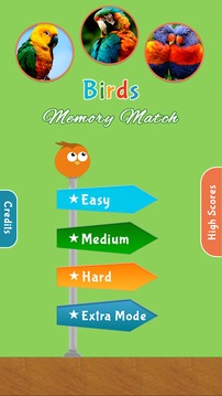 Birds Memory Match Game游戲截圖1
