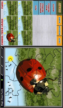 Magic Shape Puzzle Free游戲截圖5