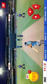 Power Cricket T20游戏截图1