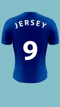 Jersey shirt fun游戲截圖3