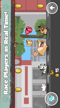 Pets Race游戲截圖1