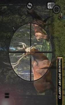 Sniper Animal Shooting 3D:Wild Animal Hunting Game游戲截圖5