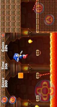 Sonic World Adventure游戲截圖2