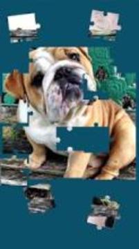 Picture Puzzle: Free Jigsaw Memory Game游戲截圖1