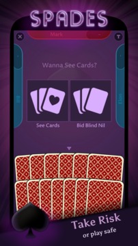 Spades Offline游戲截圖2