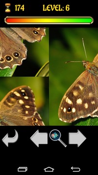 Puzzle Butterfly 2015 Free游戲截圖3