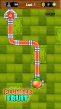 Plumber Fruit Pipelines Puzzle游戲截圖3