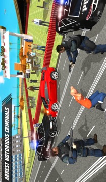 NY Police Patrol: Crime City Gangster Car Chase游戲截圖4