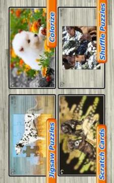 Dog Puzzles - Play Family Games with kids游戲截圖3