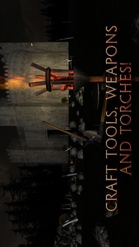 Medieval Survival Simulator 3D游戲截圖3