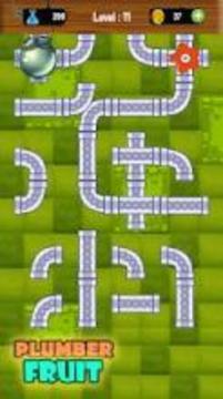 Plumber Fruit Pipelines Puzzle游戲截圖2
