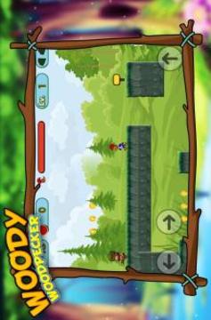 woodii super Adventures woodpecker游戲截圖2