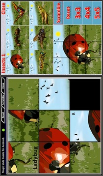 Magic Slide Puzzle Insects 1游戲截圖1
