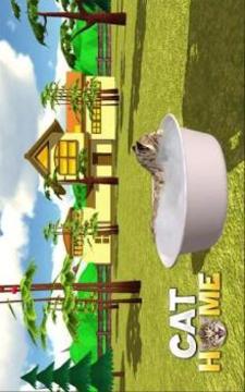Cat Home : Kitten Daycare & Kitty Care Hotel游戲截圖2