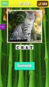 safari animals quiz游戲截圖5
