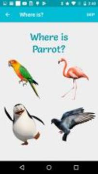 Birds - Learn, Spell, Quiz, Draw, Color and Games游戲截圖3