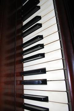 Piano instrumental游戲截圖5