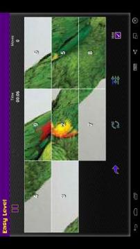 Pictorial Puzzle Scheme游戲截圖3