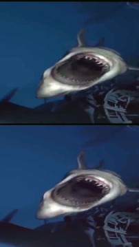 Wild Sharks VR游戏截图2