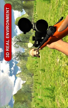 Bear Hunter Expert游戲截圖1