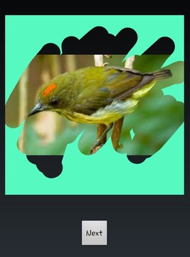 Scratch View Pictures游戲截圖5