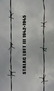 Stalag Luft III 1942-1945游戲截圖4