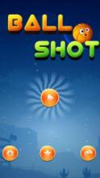 Ball Shot Basket游戲截圖1