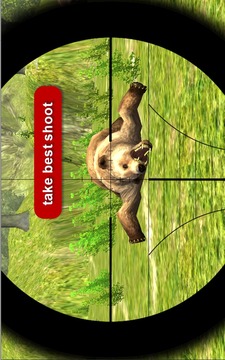 Bear Hunter Expert游戲截圖3