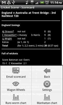 Android Cricket Scorer游戲截圖5