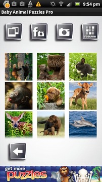 Baby Animal Puzzles Free Game游戲截圖4