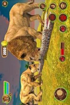 Furious Lion Vs Angry Anaconda Snake: Wild Sim游戲截圖3