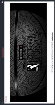 Game Time Basketball League游戲截圖2