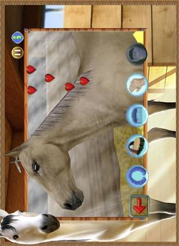 My Western Horse – Free游戲截圖1