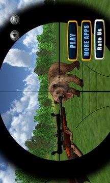 Jungle Bear Sniper Hunt 2015游戏截图1