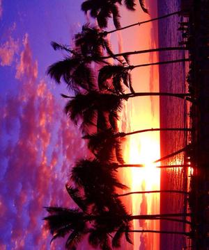 Hawaii Island Jigsaw Puzzles游戲截圖4