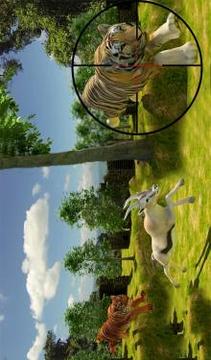 Safari Sniper Survival Hunting游戲截圖3