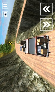 Speed Roads 3D游戲截圖5