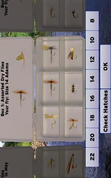 Fly Fishing Simulator游戲截圖3