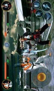 King of Combat:Kungfu fighter游戲截圖1