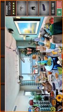 Hidden Objects Mansion游戲截圖3