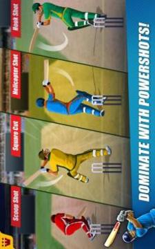 Power Cricket T20游戏截图2