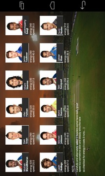 IPL-Wheel Cricket游戲截圖3