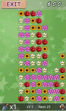 Puzzle Flower shop游戲截圖3